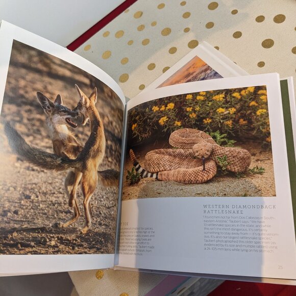 Set of 3 Arizona Highway Books - Picture 7 of 14